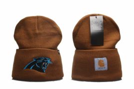 Picture for category Carolina Panthers Beanies